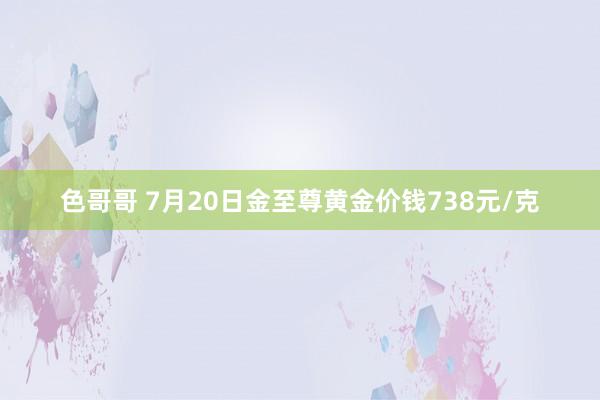 色哥哥 7月20日金至尊黄金价钱738元/克