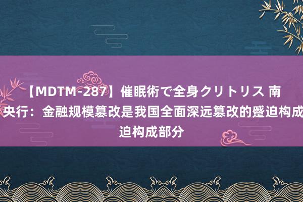 【MDTM-287】催眠術で全身クリトリス 南ゆき 央行：金融规模篡改是我国全面深远篡改的蹙迫构成部分