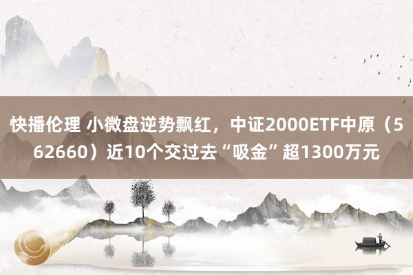 快播伦理 小微盘逆势飘红，中证2000ETF中原（562660）近10个交过去“吸金”超1300万元