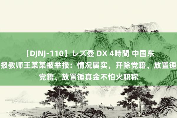 【DJNJ-110】レズ壺 DX 4時間 中国东说念主民大学通报教师王某某被举报：情况属实，开除党籍、放置锤真金不怕火职称