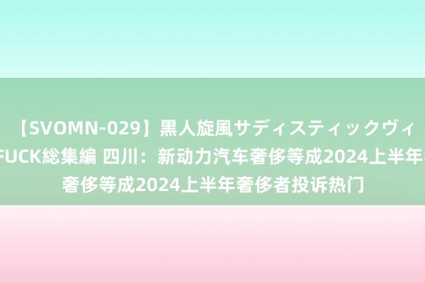 【SVOMN-029】黒人旋風サディスティックヴィレッジBLACK FUCK総集編 四川：新动力汽车奢侈等成2024上半年奢侈者投诉热门