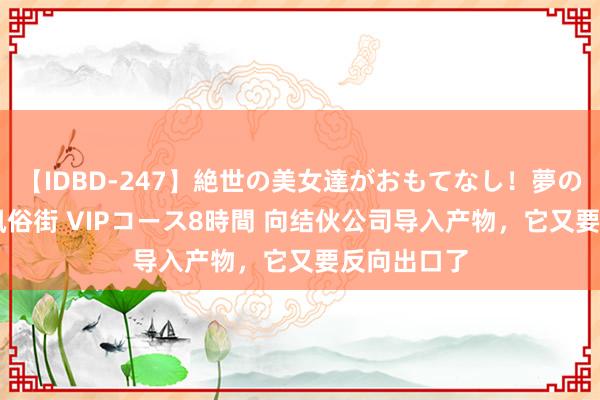 【IDBD-247】絶世の美女達がおもてなし！夢の桃源郷 IP風俗街 VIPコース8時間 向结伙公司导入产物，它又要反向出口了