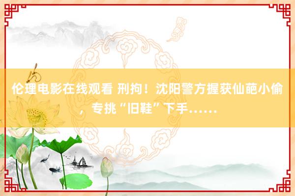 伦理电影在线观看 刑拘！沈阳警方握获仙葩小偷，专挑“旧鞋”下手……