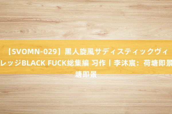 【SVOMN-029】黒人旋風サディスティックヴィレッジBLACK FUCK総集編 习作丨李沐宸：荷塘即景