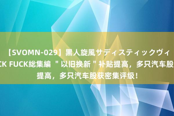 【SVOMN-029】黒人旋風サディスティックヴィレッジBLACK FUCK総集編 ＂以旧换新＂补贴提高，多只汽车股获密集评级！