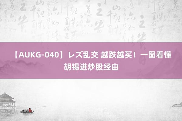 【AUKG-040】レズ乱交 越跌越买！一图看懂胡锡进炒股经由