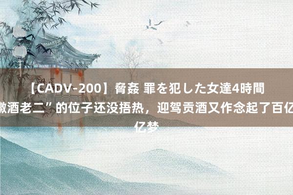 【CADV-200】脅姦 罪を犯した女達4時間 “徽酒老二”的位子还没捂热，迎驾贡酒又作念起了百亿梦