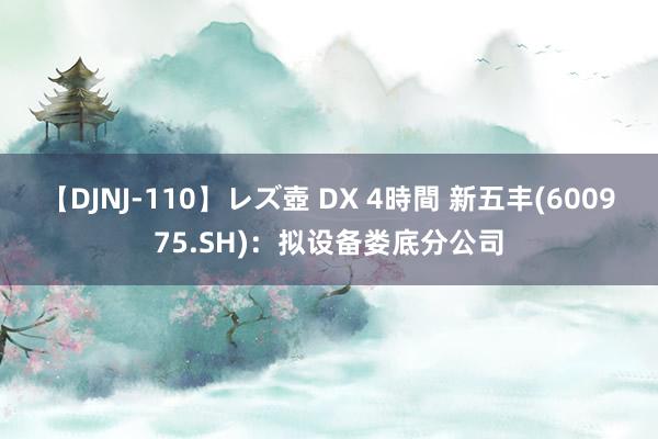 【DJNJ-110】レズ壺 DX 4時間 新五丰(600975.SH)：拟设备娄底分公司