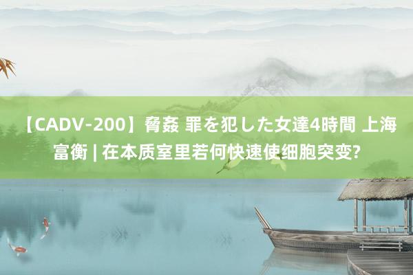 【CADV-200】脅姦 罪を犯した女達4時間 上海富衡 | 在本质室里若何快速使细胞突变?