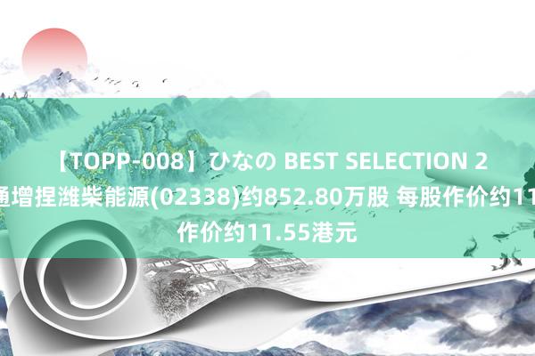 【TOPP-008】ひなの BEST SELECTION 2 摩根大通增捏潍柴能源(02338)约852.80万股 每股作价约11.55港元