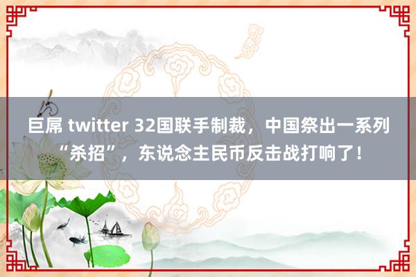 巨屌 twitter 32国联手制裁，中国祭出一系列“杀招”，东说念主民币反击战打响了！