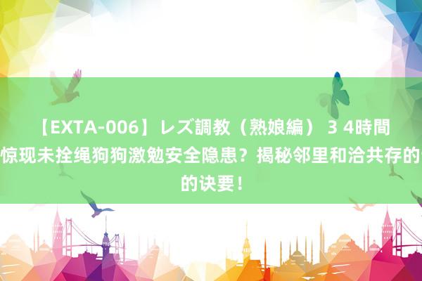 【EXTA-006】レズ調教（熟娘編） 3 4時間 小区惊现未拴绳狗狗激勉安全隐患？揭秘邻里和洽共存的诀要！