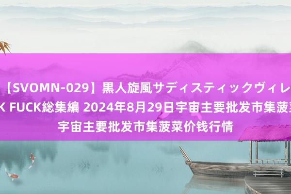 【SVOMN-029】黒人旋風サディスティックヴィレッジBLACK FUCK総集編 2024年8月29日宇宙主要批发市集菠菜价钱行情