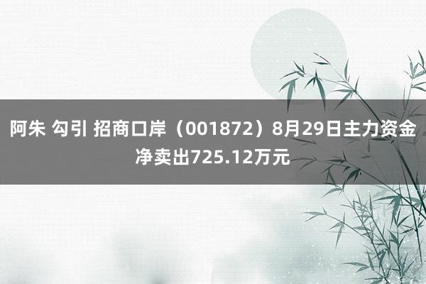 阿朱 勾引 招商口岸（001872）8月29日主力资金净卖出725.12万元