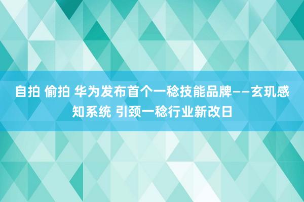 自拍 偷拍 华为发布首个一稔技能品牌——玄玑感知系统 引颈一稔行业新改日