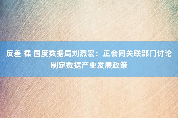 反差 裸 国度数据局刘烈宏：正会同关联部门讨论制定数据产业发展政策