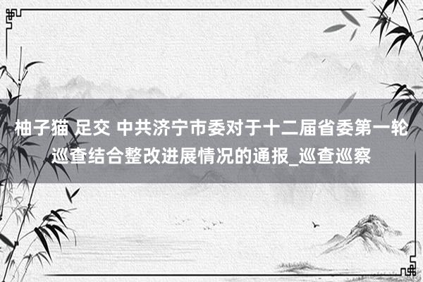 柚子猫 足交 中共济宁市委对于十二届省委第一轮巡查结合整改进展情况的通报_巡查巡察