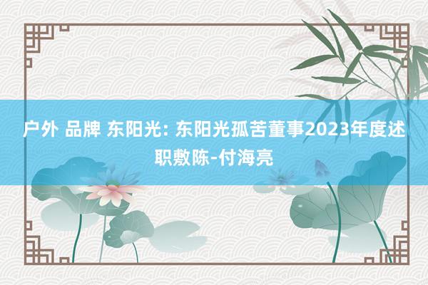 户外 品牌 东阳光: 东阳光孤苦董事2023年度述职敷陈-付海亮