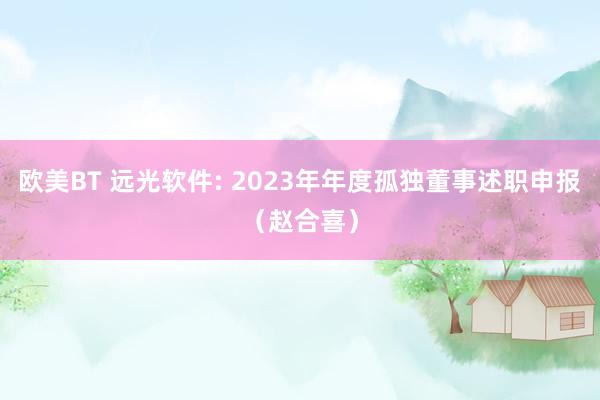 欧美BT 远光软件: 2023年年度孤独董事述职申报（赵合喜）