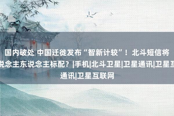 国内破处 中国迁徙发布“智新计较”！北斗短信将成东说念主东说念主标配？|手机|北斗卫星|卫星通讯|卫星互联网