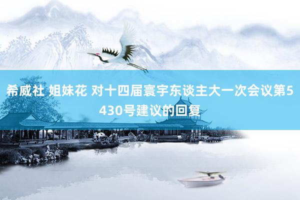 希威社 姐妹花 对十四届寰宇东谈主大一次会议第5430号建议的回复