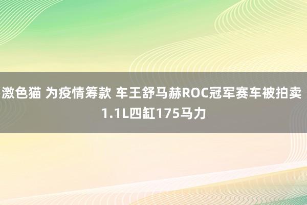 激色猫 为疫情筹款 车王舒马赫ROC冠军赛车被拍卖 1.1L四缸175马力